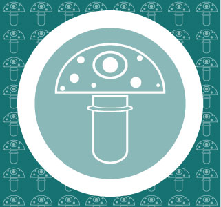 Petite soir�e t�te en l'air au Garamel(19) le 31 mai 2008